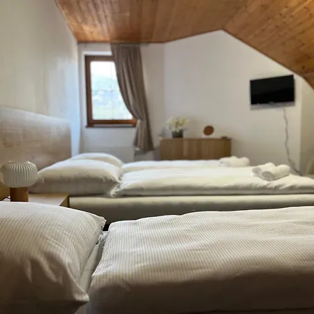 Bella Guest house *