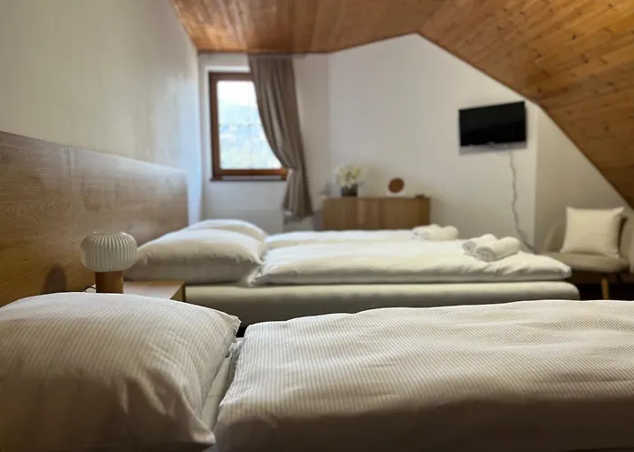 Bella Guest house 3*